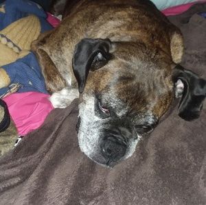 Meet your Posher, Todd